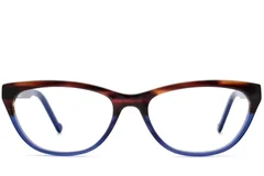 BS2012-3650_Blue_Butterfly_Acetate_Glasses_front