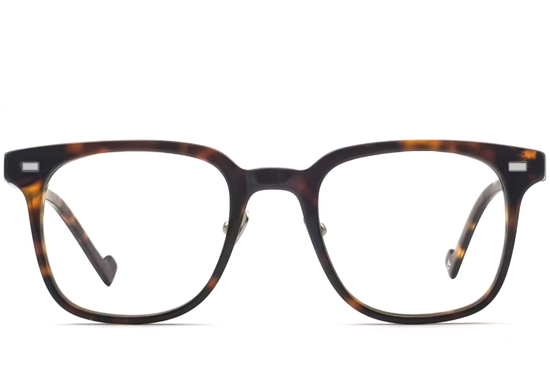 BS2012-3667_Tortoiseshell_Rectangular_Acetate_Glasses_front