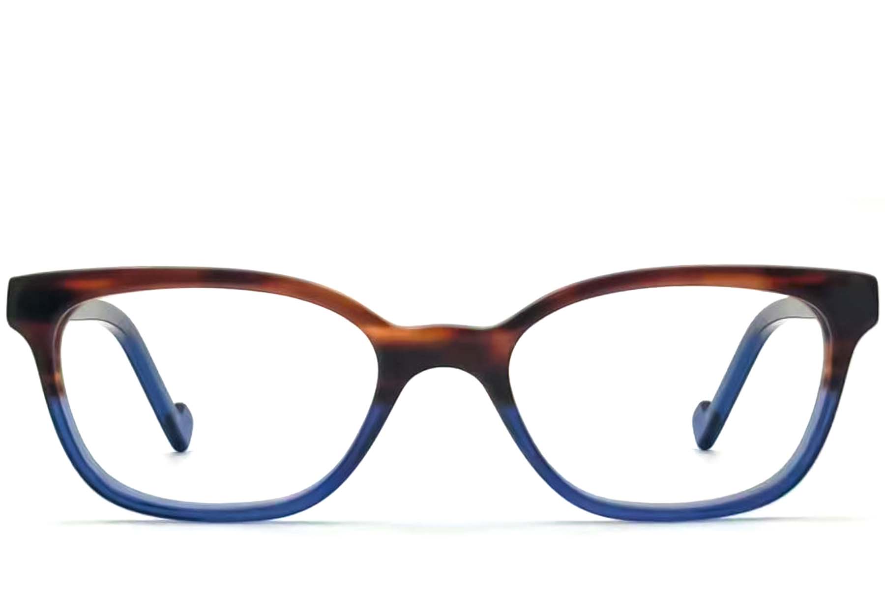 BS2012-3668_Blue_Butterfly_Acetate_Glasses_front
