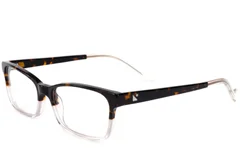 BS2012-3672_Tortoiseshell_Rectangular_Acetate_Glasses_corner