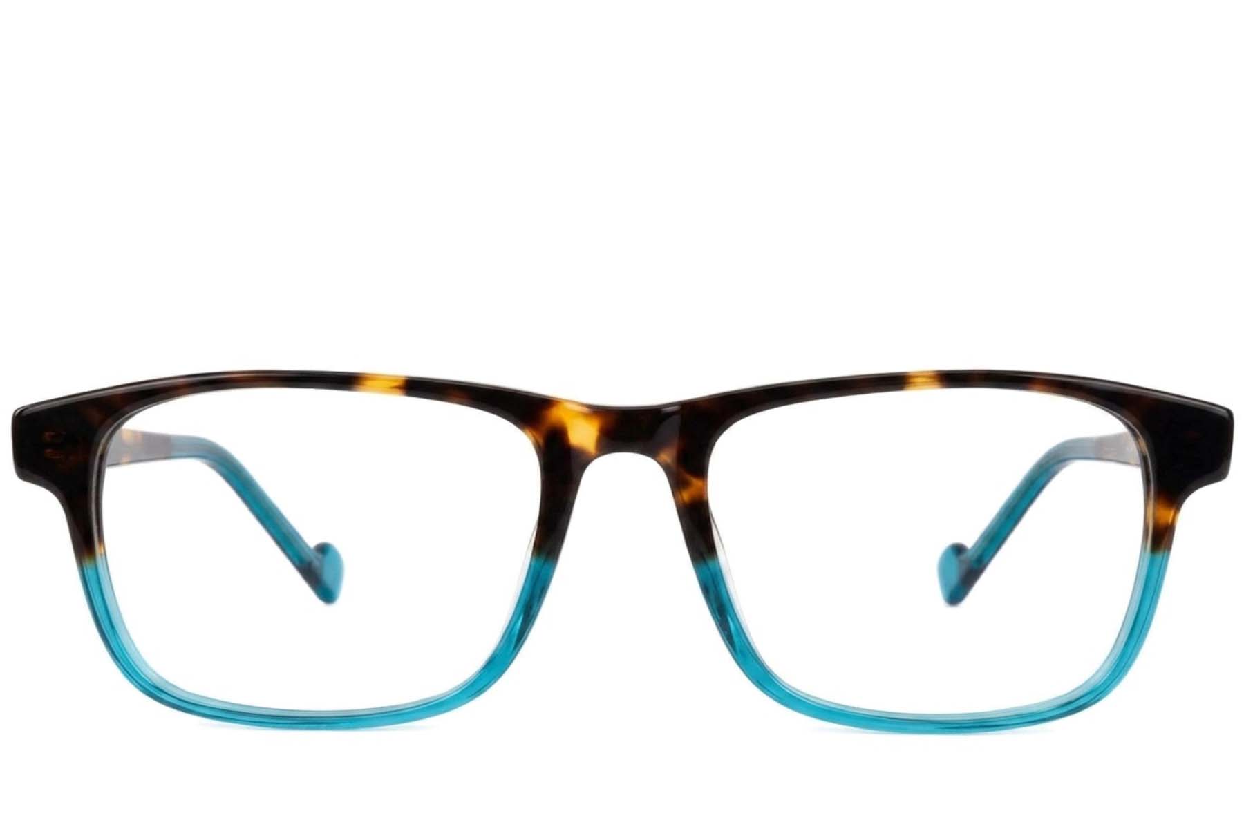 BS2012-3681_Tortoiseshell_Rectangular_Acetate_Glasses-front