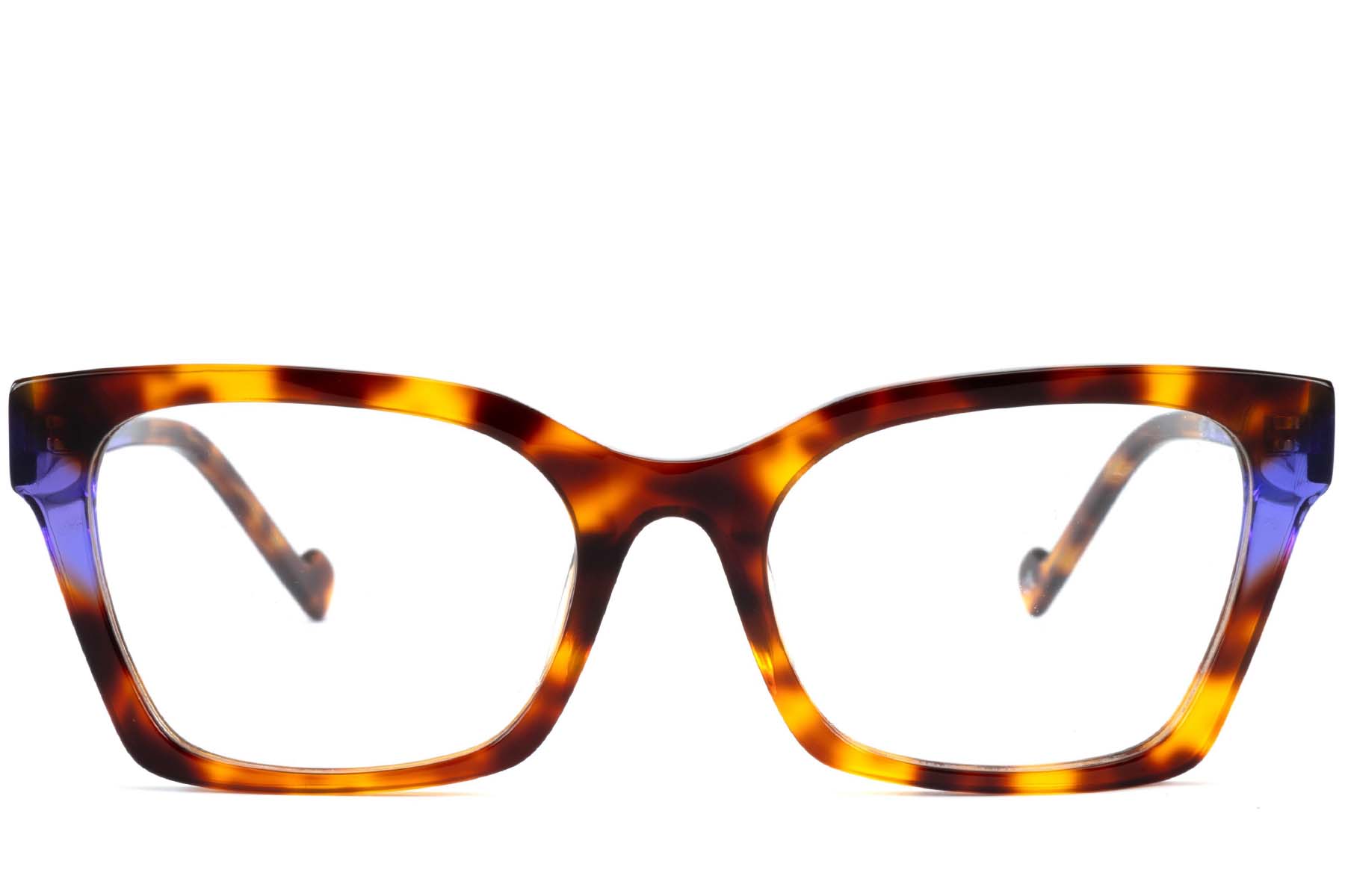 BS2012-3682_Tortoiseshell_Rectangular_Acetate_Glasses_front