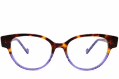 BS2012-3689_Tortoiseshell_Butterfly_Acetate_Glasses-front