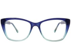 BS2012-3772_Blue_Butterfly_Acetate_Glasses-front