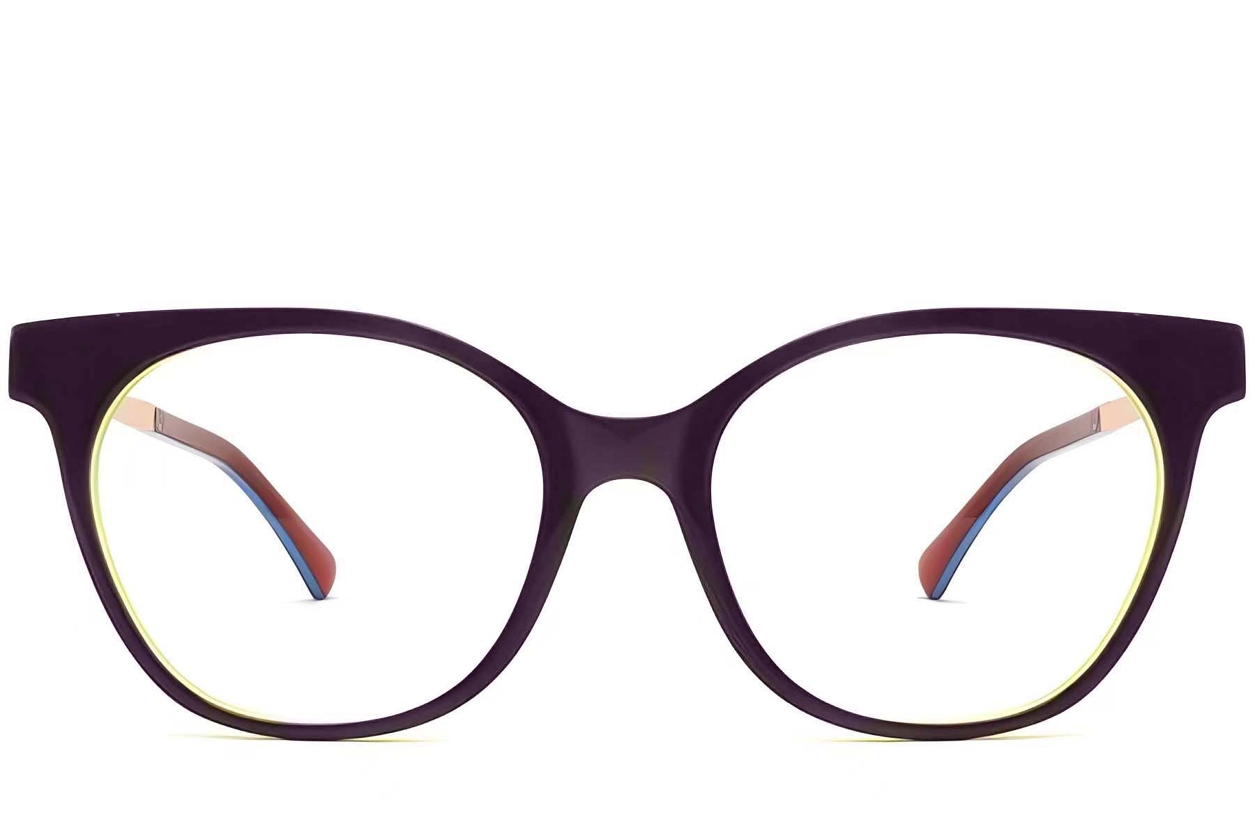 BS2012-3878_Purple_Butterfly_Acetate_Glasses_front