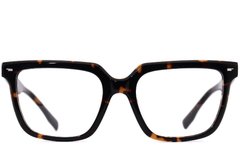 BS2012-3898_Tortoiseshell_Rectangular_Acetate_Glasses_front