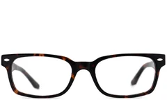 BS2012-3919_Tortoiseshell_Rectangular_Acetate_Glasses_front