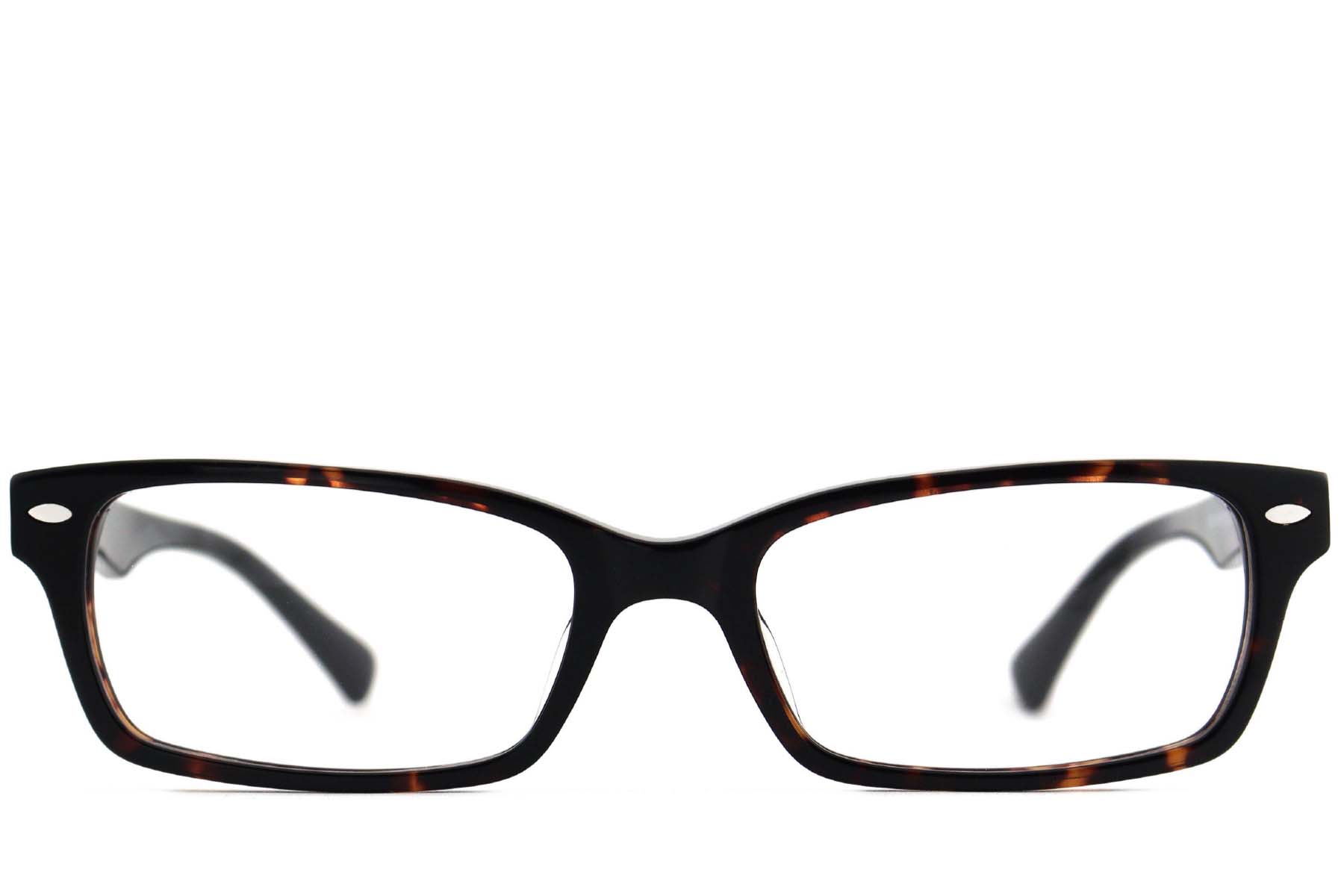 BS2012-3926_Tortoiseshell_Butterfly_Acetate_Glasses_front