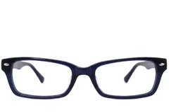 BS2012-3928_Blue_Butterfly_Acetate_Glasses-front