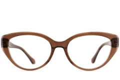 BS2012-3946_Brown_Butterfly_Acetate_Glasses_front