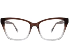 BS2012-3963_Brown_Butterfly_Acetate_Glasses-front