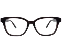 BS2012-4076_Brown_Butterfly_Acetate_Glasses-front