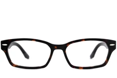 BS2012-4081_Tortoiseshell_Rectangular_Acetate_Glasses_front