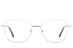 BS2012-4223_Golden_Butterfly_Metal_Glasses_front