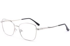 BS2012-4232_Silver_Butterfly_Metal_Glasses_corner