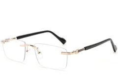 BS2012-4352_Golden_Invisible_Metal_Glasses_corner
