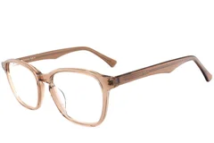 BS2012-4413_Brown_Butterfly_Acetate_Glasses_corner