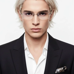 bs2419-0006_silver_invisible_titanium_glasses_model