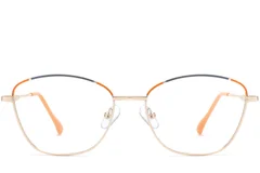 BS2425-0041_Orange_Butterfly_Metal_Glasses_front