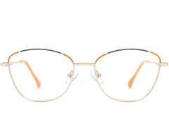 BS2425-0041_Orange_Butterfly_Metal_Glasses_front