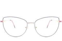BS2425-0049_Purple_Butterfly_Metal_Glasses_corner