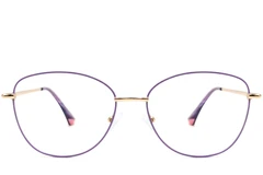 BS2425-0209_Purple_Butterfly_Metal_Glasses_front