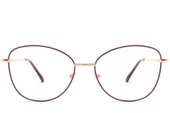 BS2425-0212_Red_Butterfly_Metal_Glasses_front