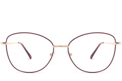 BS2425-0212_Red_Butterfly_Metal_Glasses_front