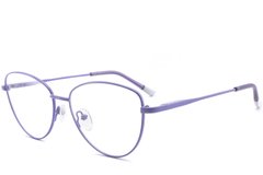 BS2425-0284_Purple_Butterfly_Metal_Glasses_corner