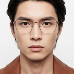 bs2425-0434_brown_rectangular_metal_glasses_model