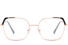 BS2425-0566_Brown_Butterfly_Metal_Glasses_front