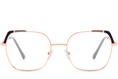 BS2425-0566_Brown_Butterfly_Metal_Glasses_front