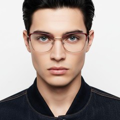 bs2425-0569_red_butterfly_metal_glasses_model