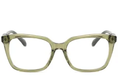 BS2425-0672_Green_Butterfly_Acetate_Glasses_corner-front