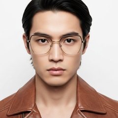 bs2425-0824_brown_geometric_metal_glasses_model
