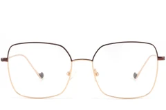 BS2425-1631_Golden_Rectangular_Metal_glasses_front