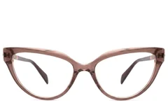 BS2425-1954_Brown_Butterfly_Acetate_Glasses-front