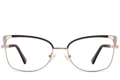 BS2425-1991_Brown_Butterfly_Metal_Glasses_front