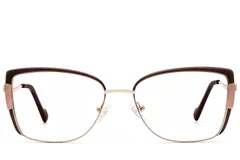 BS2425-2000_Brown_Butterfly_Metal_Glasses_front