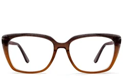 BS2425-2010_Brown_Butterfly_Acetate_Glasses_front