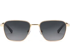BS2503-0041_Golden_Rectangular_Metal_Sunglasses_front