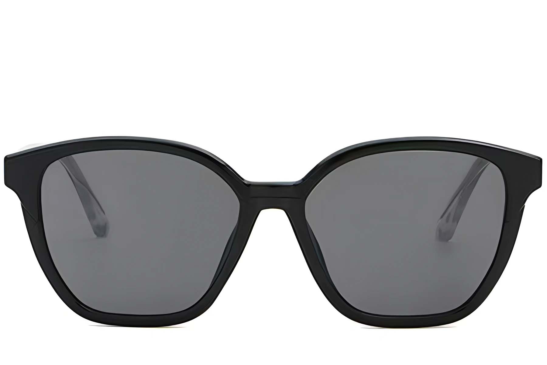 BS2503-0413_Black_Butterfly_Plastic_Sunglasses_front