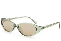 BS2513-0019_Green_Butterfly_Plastic_Sunglasses_corner