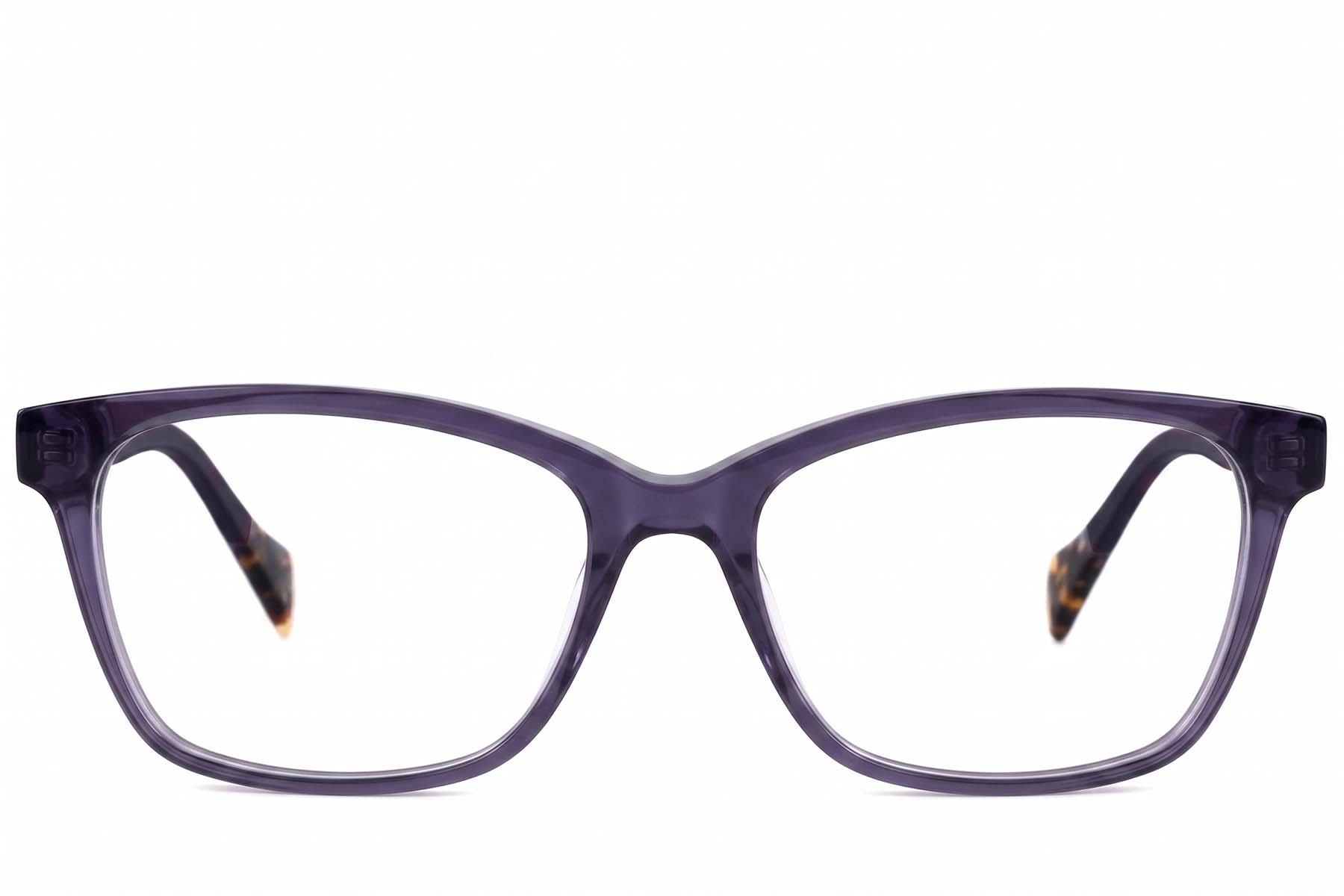 BS2607-0866_Purple_Butterfly_Acetate_Glasses-front