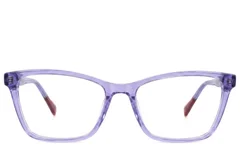 BS2607-0886_Purple_Butterfly_Acetate_Glasses-front