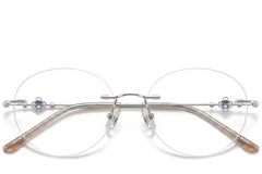 BS423-0349_Silver_Invisible_Titanium_Glasses_front