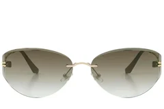 BS423-0405_Golden_Invisible_Metal_Sunglasses_front