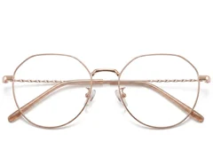 BS423-0475_Brown_Geometric_Metal_Glasses_front