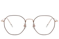 BS423-0595_Brown_Geometric_Titanium_Glasses-front