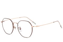 BS423-0595_Brown_Geometric_Titanium_Glasses_corner